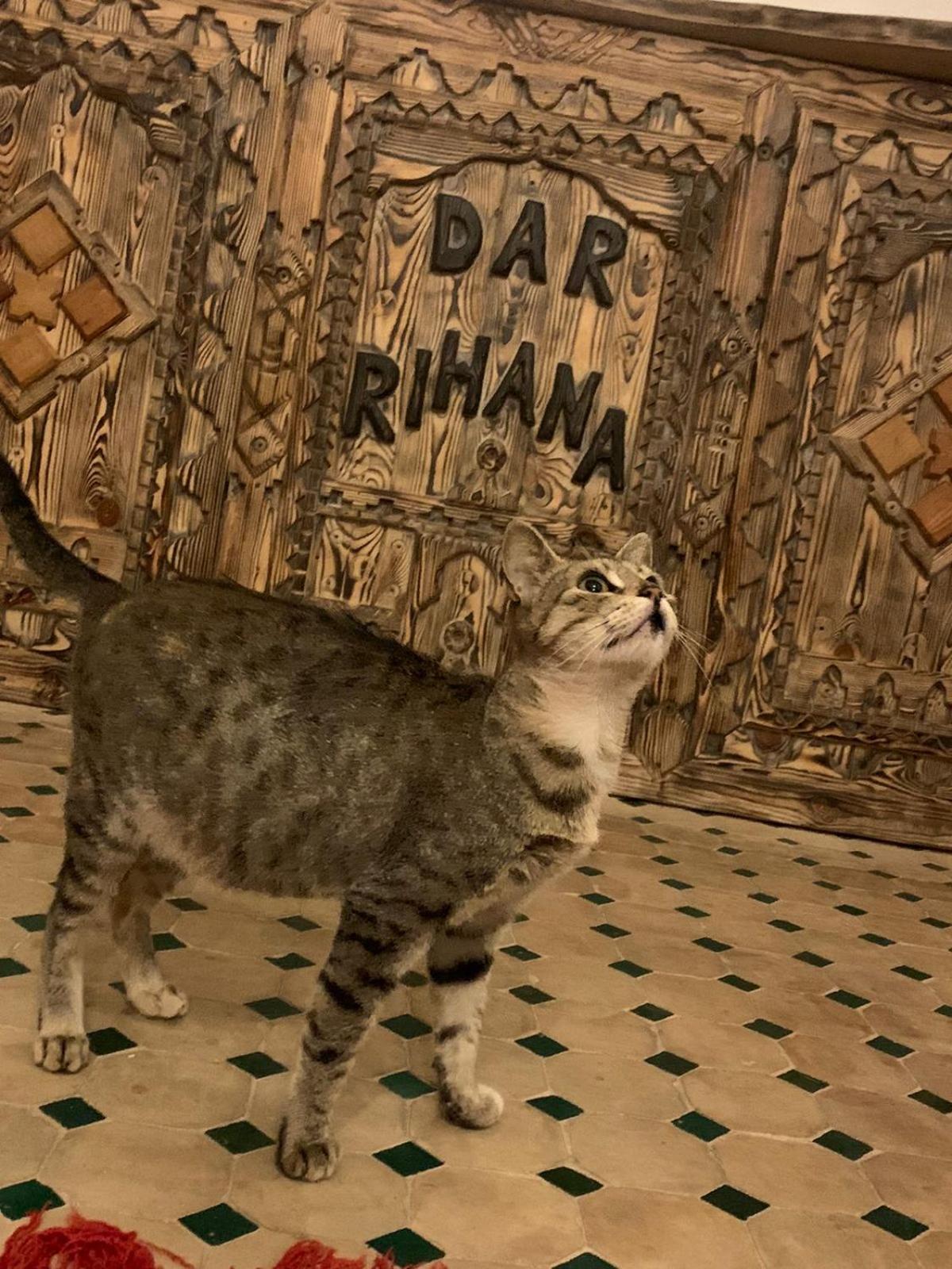 Dar Rihana Dades Ait Idair Exterior photo